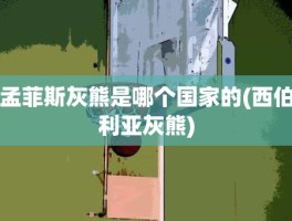 孟菲斯灰熊是哪个国家的(西伯利亚灰熊)