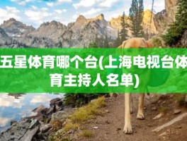 五星体育哪个台(上海电视台体育主持人名单)
