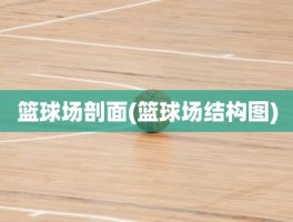 篮球场剖面(篮球场结构图)