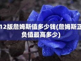 12版詹姆斯值多少钱(詹姆斯正负值最高多少)