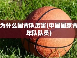 为什么国青队厉害(中国国家青年队队员)