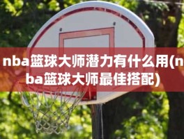 nba篮球大师潜力有什么用(nba篮球大师最佳搭配)