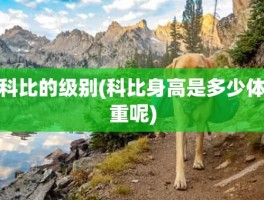 科比的级别(科比身高是多少体重呢)