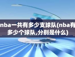nba一共有多少支球队(nba有多少个球队,分别是什么)
