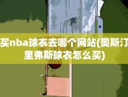 买nba球衣去哪个网站(奥斯汀里弗斯球衣怎么买)