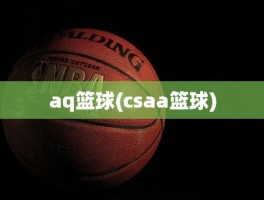 aq篮球(csaa篮球)