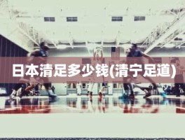 日本清足多少钱(清宁足道)