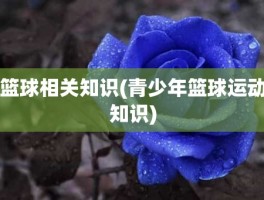 篮球相关知识(青少年篮球运动知识)