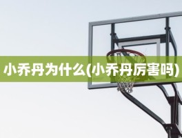 小乔丹为什么(小乔丹厉害吗)