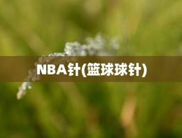 NBA针(篮球球针)