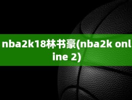 nba2k18林书豪(nba2k online 2)