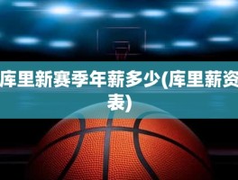 库里新赛季年薪多少(库里薪资表)