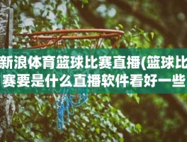 新浪体育篮球比赛直播(篮球比赛要是什么直播软件看好一些)