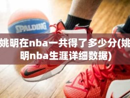 姚明在nba一共得了多少分(姚明nba生涯详细数据)