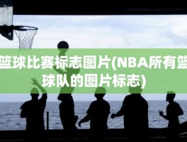 篮球比赛标志图片(NBA所有篮球队的图片标志)