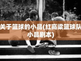 关于篮球的小品(红高粱篮球队小品剧本)