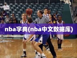 nba字典(nba中文数据库)
