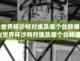 世界杯沙特对埃及哪个台转播(世界杯沙特对埃及哪个台转播)