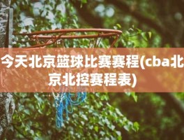 今天北京篮球比赛赛程(cba北京北控赛程表)