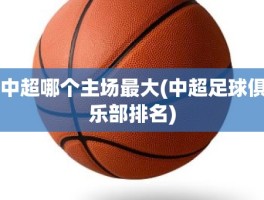 中超哪个主场最大(中超足球俱乐部排名)