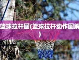 篮球拉杆图(篮球拉杆动作图解)