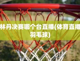 林丹决赛哪个台直播(体育直播羽毛球)