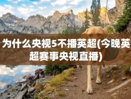 为什么央视5不播英超(今晚英超赛事央视直播)