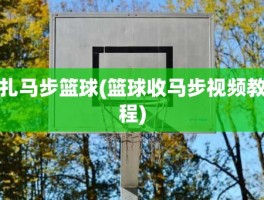 扎马步篮球(篮球收马步视频教程)