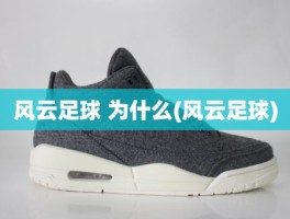 风云足球 为什么(风云足球)