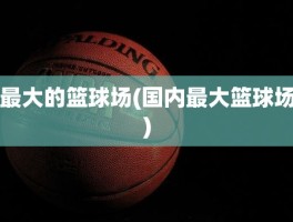 最大的篮球场(国内最大篮球场)