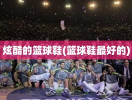 炫酷的篮球鞋(篮球鞋最好的)