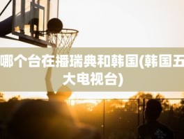 哪个台在播瑞典和韩国(韩国五大电视台)