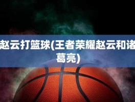 赵云打篮球(王者荣耀赵云和诸葛亮)