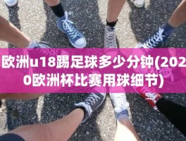 欧洲u18踢足球多少分钟(2020欧洲杯比赛用球细节)