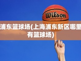 浦东篮球场(上海浦东新区哪里有篮球场)
