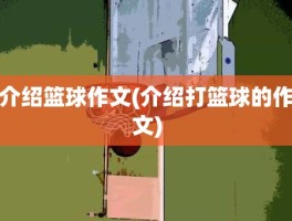 介绍篮球作文(介绍打篮球的作文)