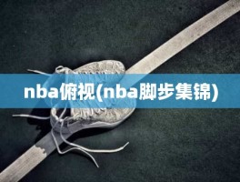nba俯视(nba脚步集锦)