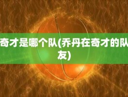 奇才是哪个队(乔丹在奇才的队友)