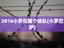2016小罗在哪个球队(小罗巴萨)