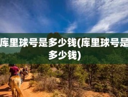 库里球号是多少钱(库里球号是多少钱)