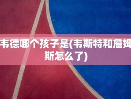 韦德哪个孩子是(韦斯特和詹姆斯怎么了)