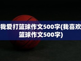 我爱打篮球作文500字(我喜欢篮球作文500字)