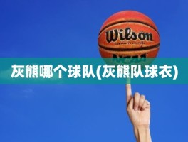 灰熊哪个球队(灰熊队球衣)