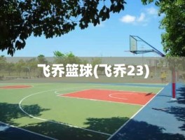 飞乔篮球(飞乔23)