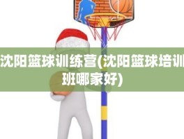 沈阳篮球训练营(沈阳篮球培训班哪家好)