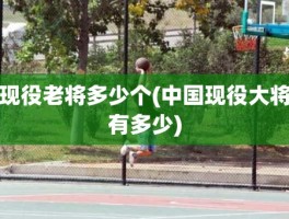 现役老将多少个(中国现役大将有多少)