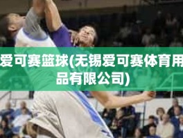 爱可赛篮球(无锡爱可赛体育用品有限公司)