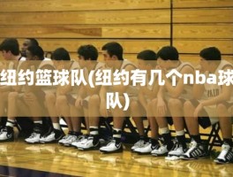 纽约篮球队(纽约有几个nba球队)