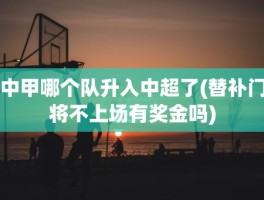 中甲哪个队升入中超了(替补门将不上场有奖金吗)