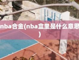nba合金(nba盒里是什么意思)